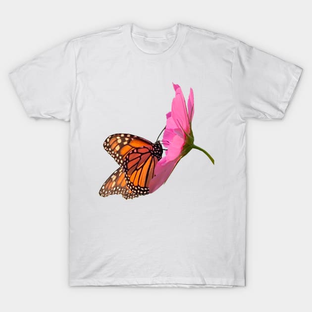 Monarch Butterfly on Cosmos Flower T-Shirt by DandelionDays